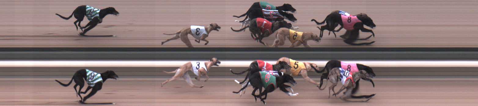 Photo finish for Warragul Race 12