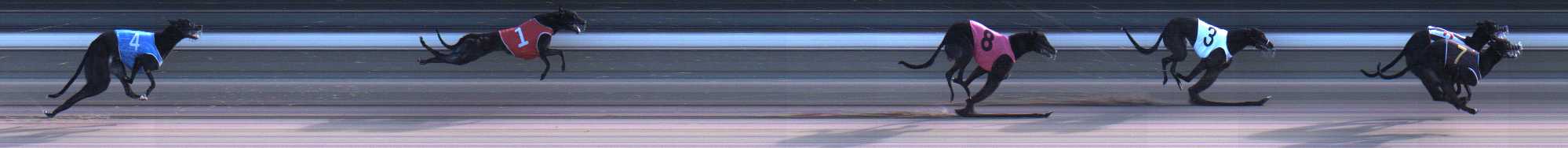 Photo finish for Warragul Race 1
