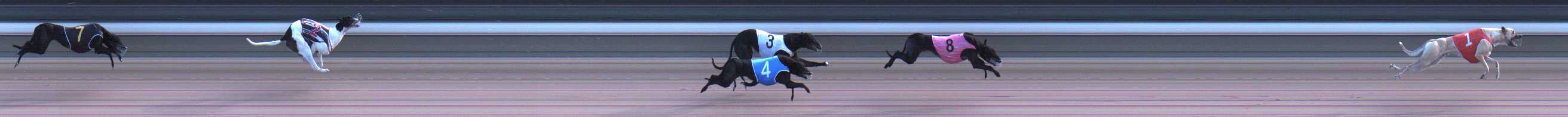 Photo finish for Warragul Race 2