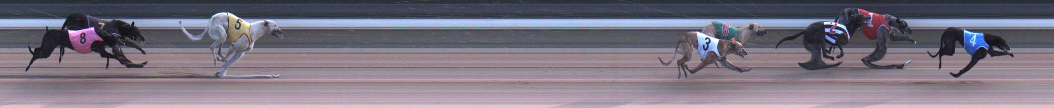 Photo finish for Warragul Race 3