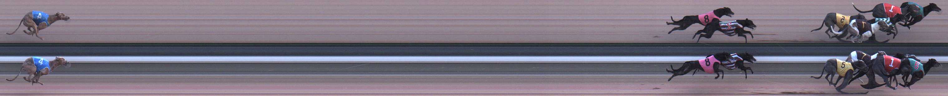 Photo finish for Warragul Race 4