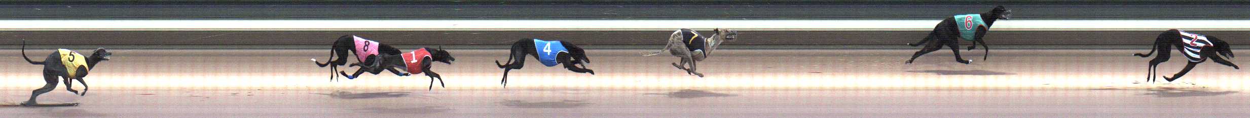 Photo finish for Warragul Race 5