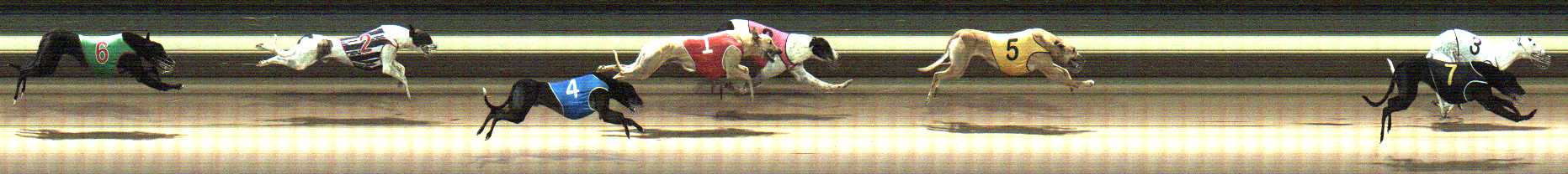 Photo finish for Warragul Race 6