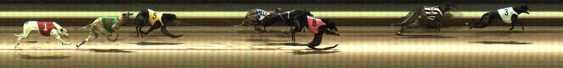 Photo finish for Warragul Race 7