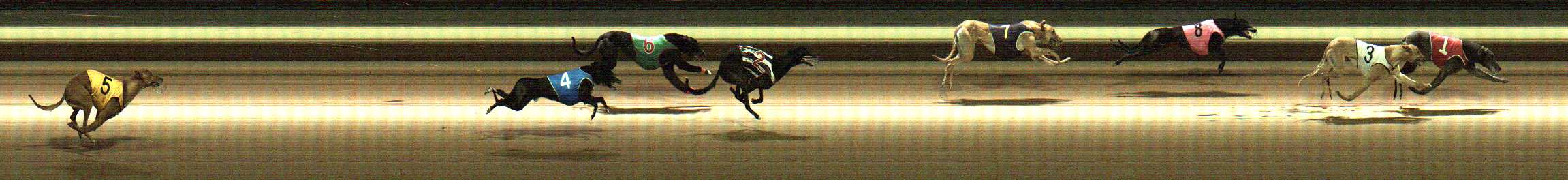 Photo finish for Warragul Race 8