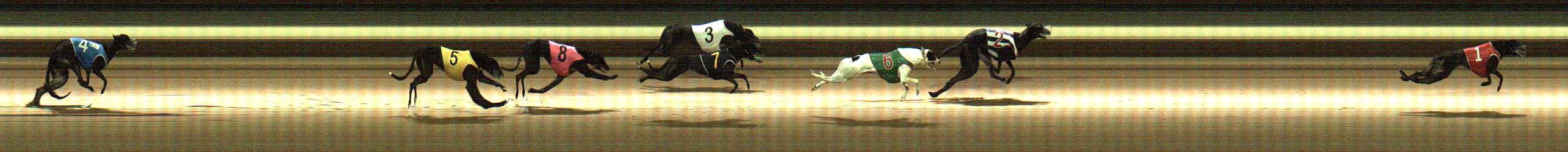 Photo finish for Warragul Race 9