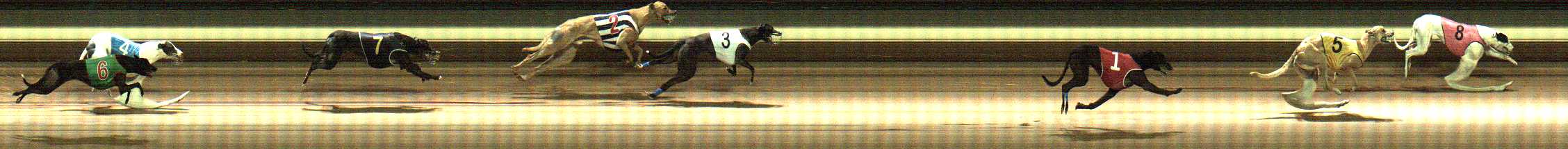 Photo finish for Warragul Race 10