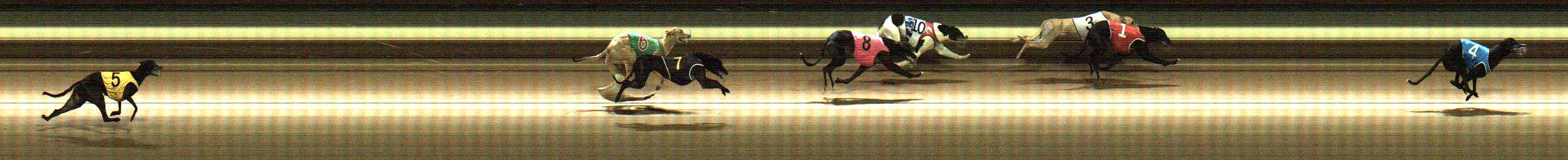 Photo finish for Warragul Race 12