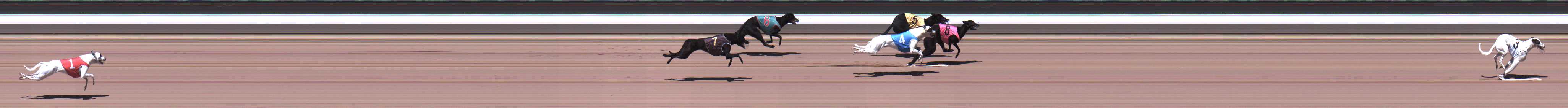 Photo finish for Warragul Race 1