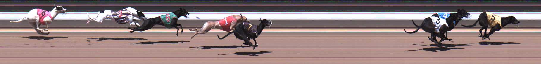 Photo finish for Warragul Race 2