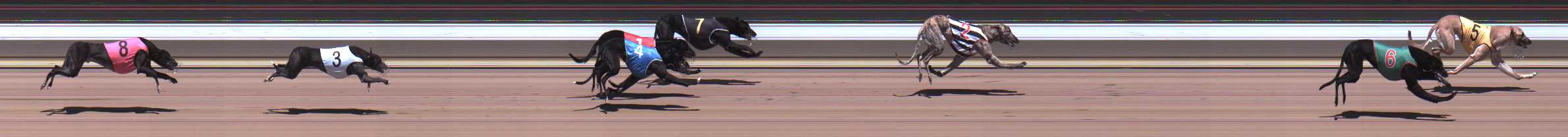 Photo finish for Warragul Race 3