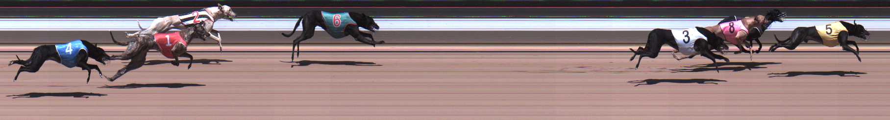 Photo finish for Warragul Race 4