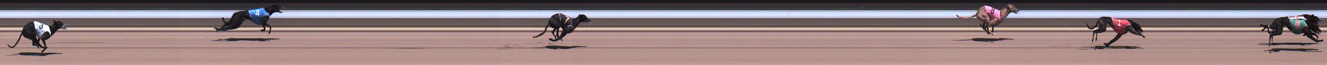 Photo finish for Warragul Race 5