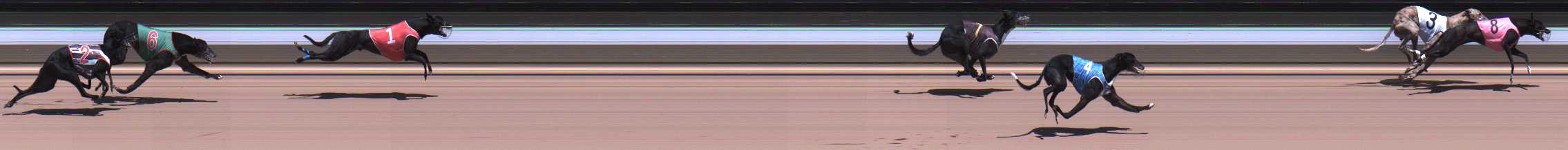 Photo finish for Warragul Race 6