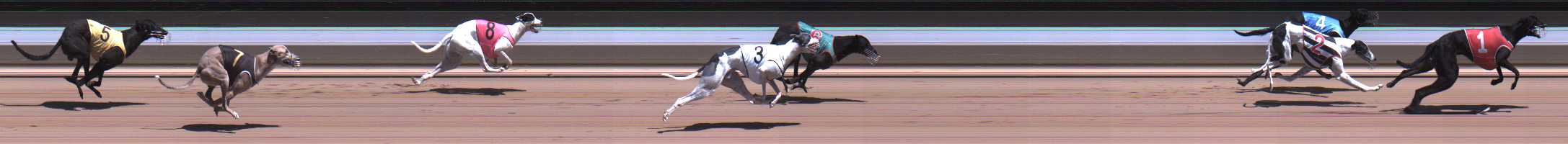 Photo finish for Warragul Race 7