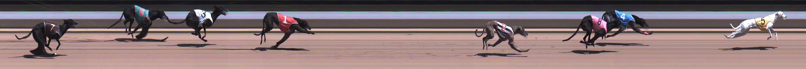 Photo finish for Warragul Race 8