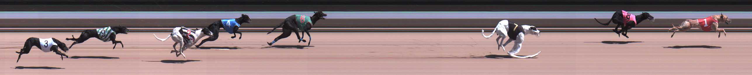 Photo finish for Warragul Race 9