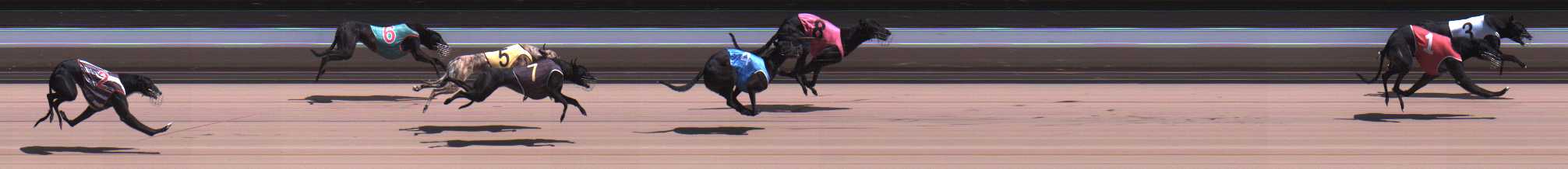 Photo finish for Warragul Race 10