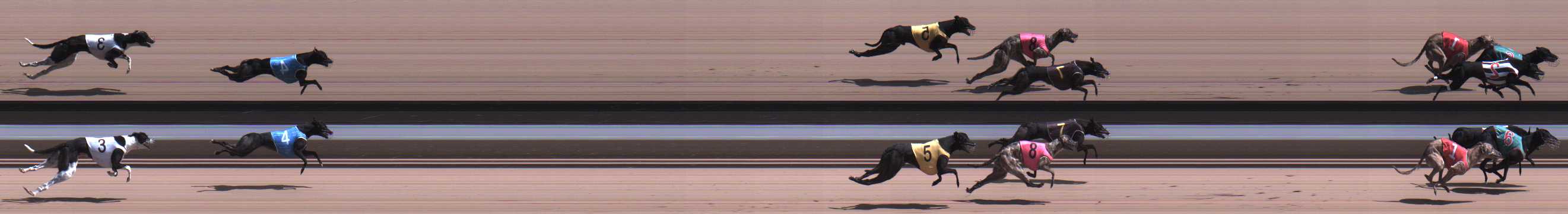 Photo finish for Warragul Race 11