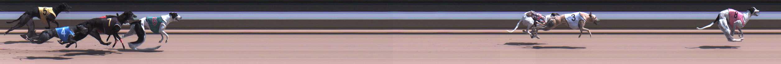 Photo finish for Warragul Race 12