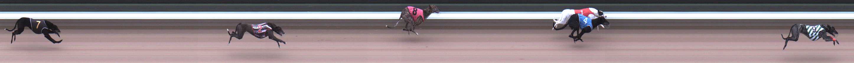 Photo finish for Warragul Race 1