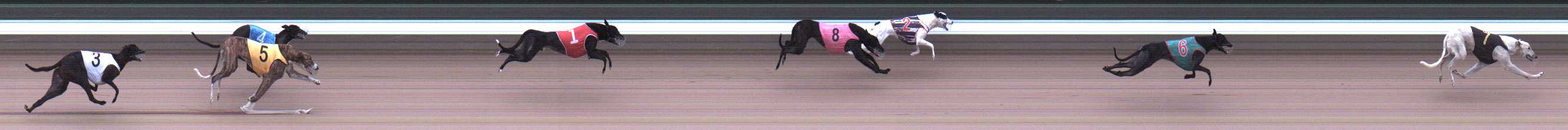 Photo finish for Warragul Race 2