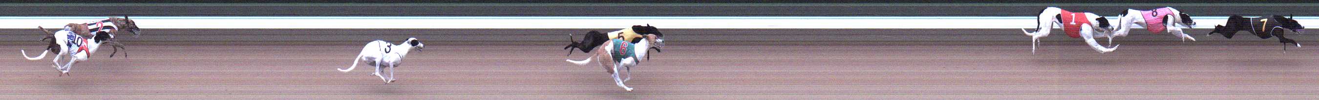 Photo finish for Warragul Race 3