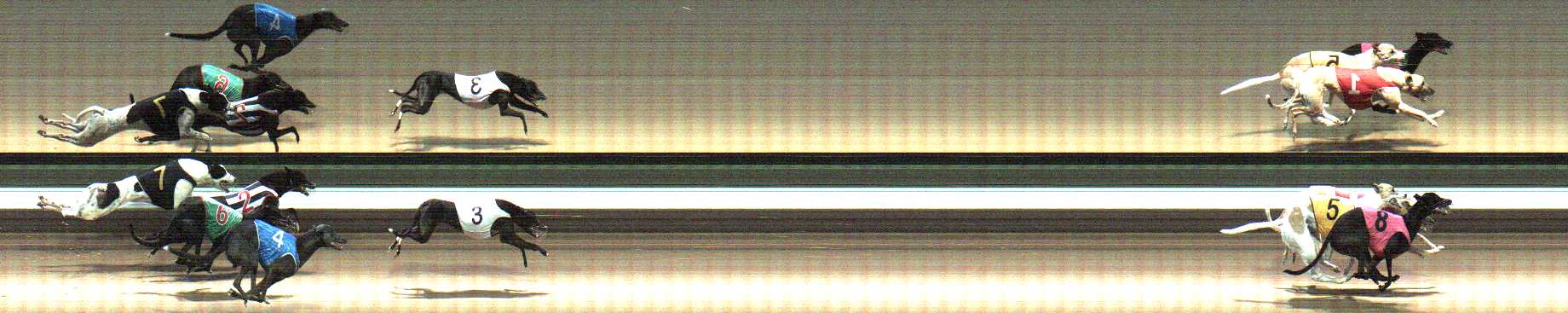 Photo finish for Warragul Race 5