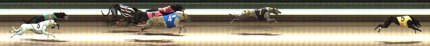 Photo finish for Warragul Race 6