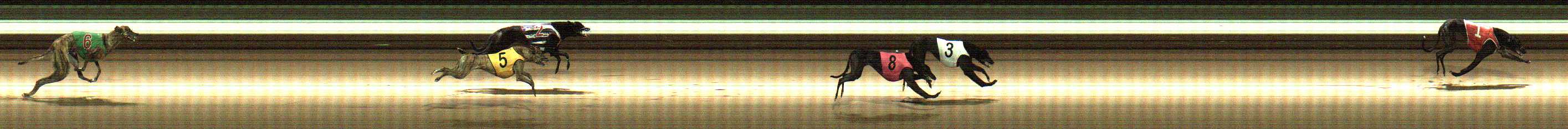 Photo finish for Warragul Race 7