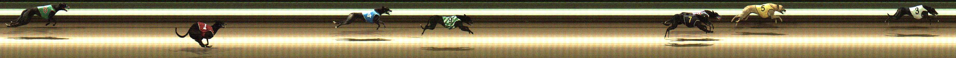 Photo finish for Warragul Race 8