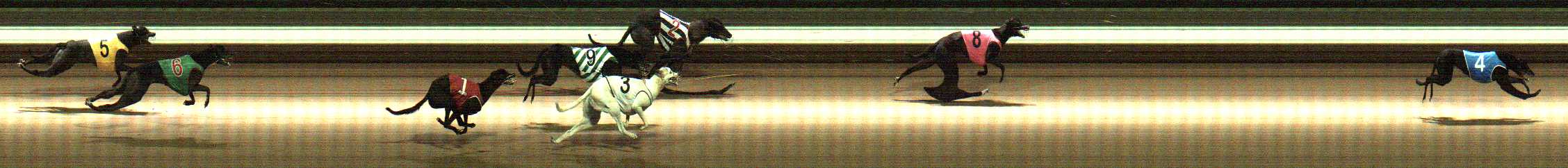 Photo finish for Warragul Race 9