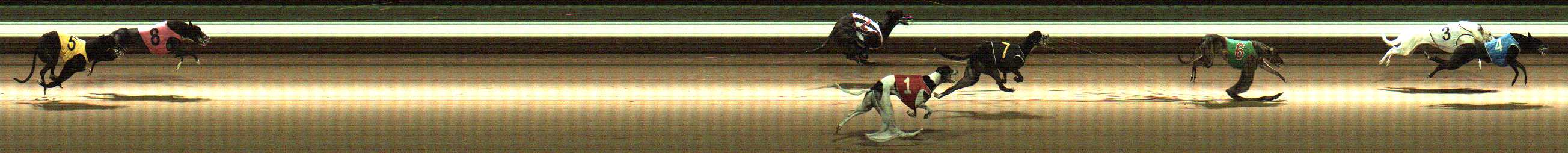 Photo finish for Warragul Race 11