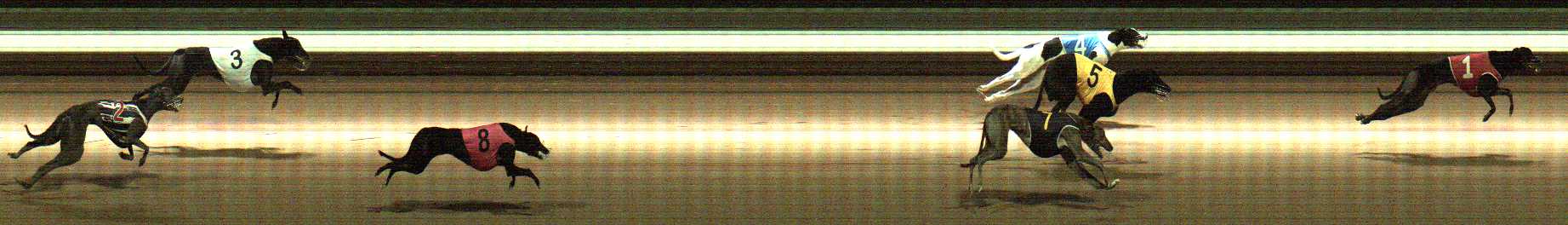Photo finish for Warragul Race 12