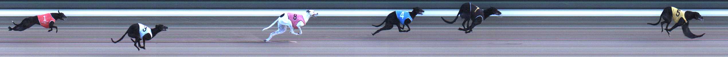 Photo finish for Warragul Race 1