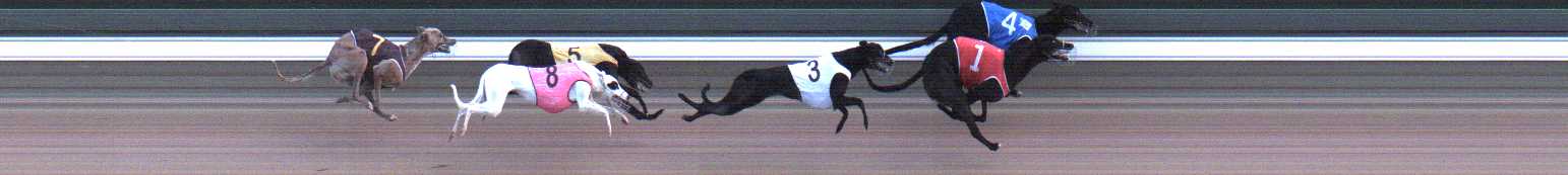 Photo finish for Warragul Race 2
