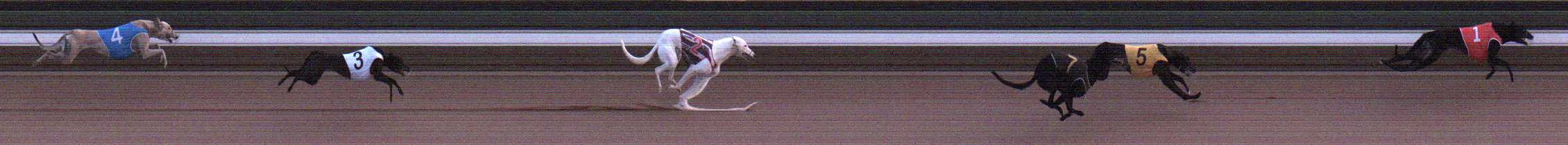 Photo finish for Warragul Race 3