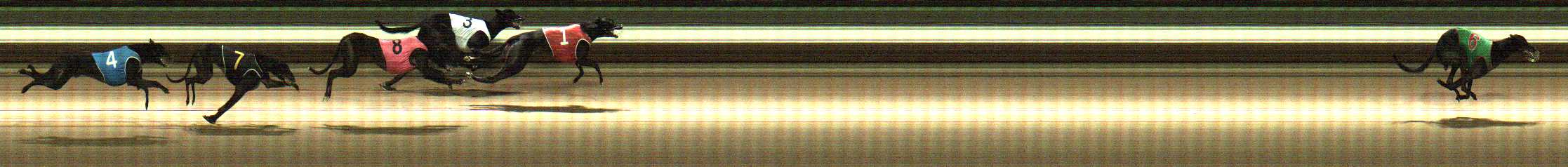 Photo finish for Warragul Race 4