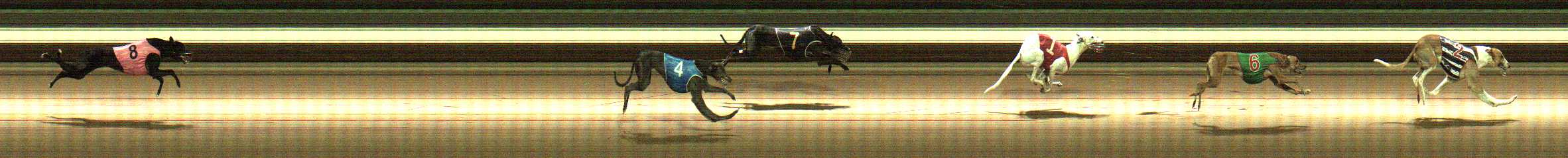 Photo finish for Warragul Race 5