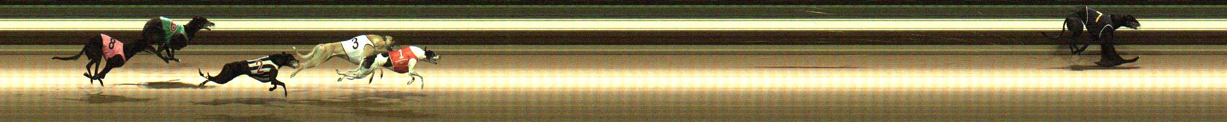 Photo finish for Warragul Race 6