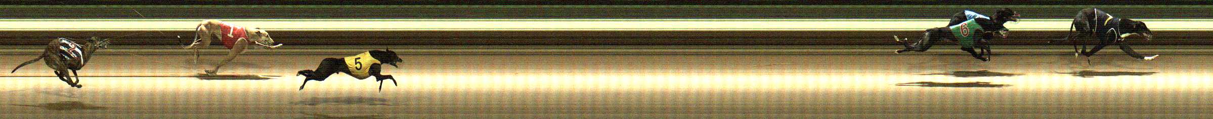 Photo finish for Warragul Race 7