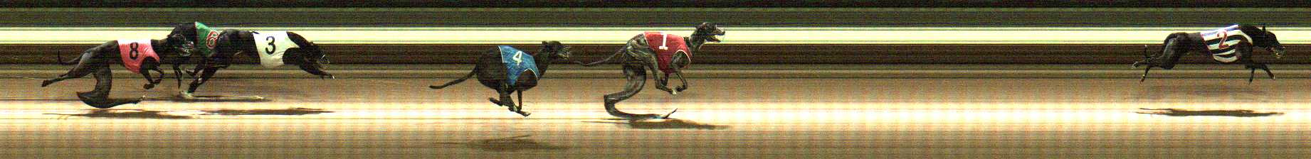 Photo finish for Warragul Race 8