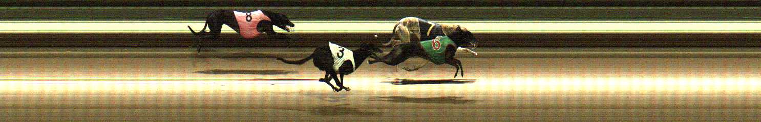 Photo finish for Warragul Race 9