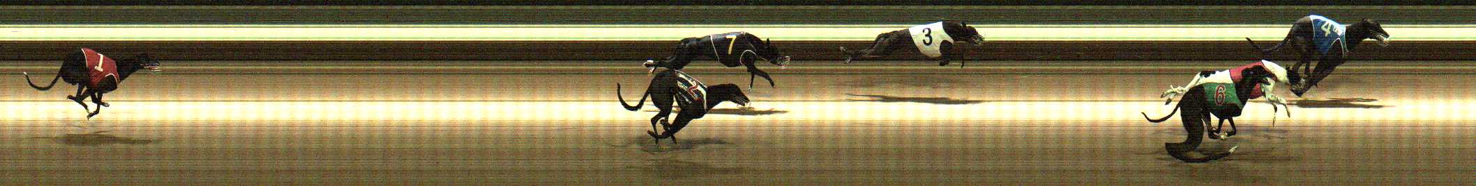 Photo finish for Warragul Race 10