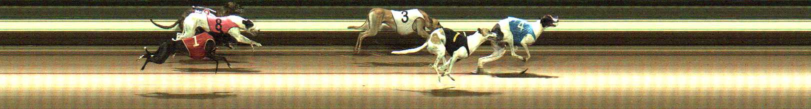 Photo finish for Warragul Race 11