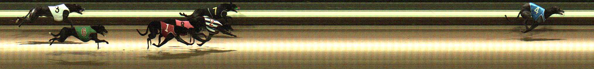 Photo finish for Warragul Race 12
