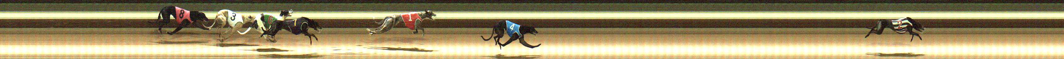 Photo finish for Warragul Race 11