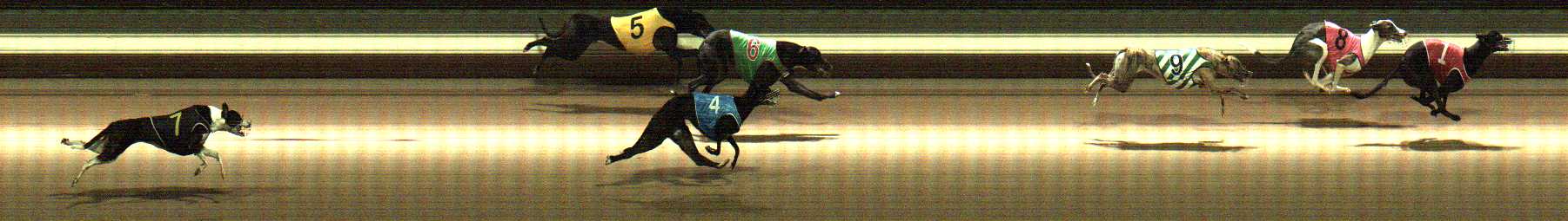 Photo finish for Warragul Race 1