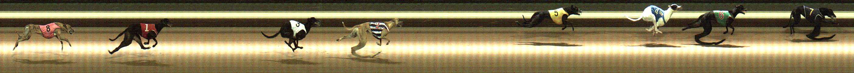 Photo finish for Warragul Race 2