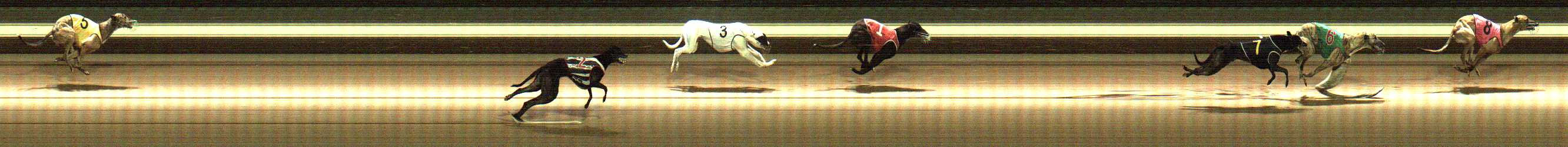 Photo finish for Warragul Race 3